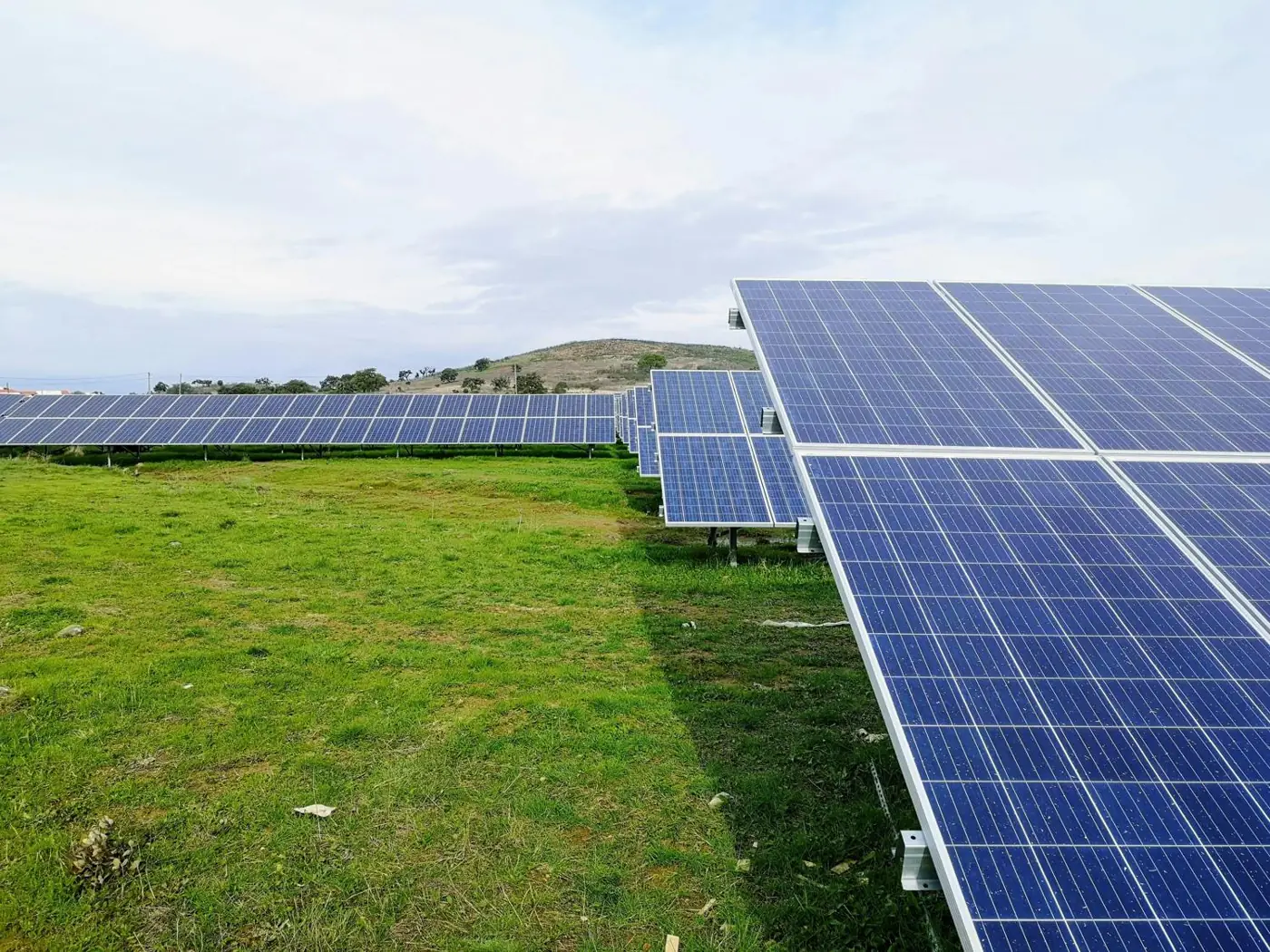 Paneles solares